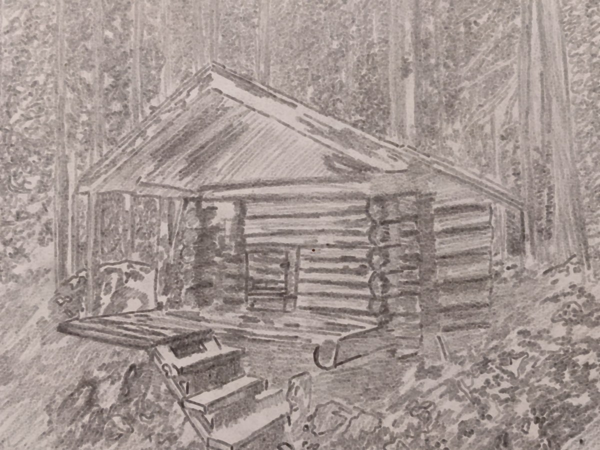 The Cabin (a story of guilt and&nbsp;courage)